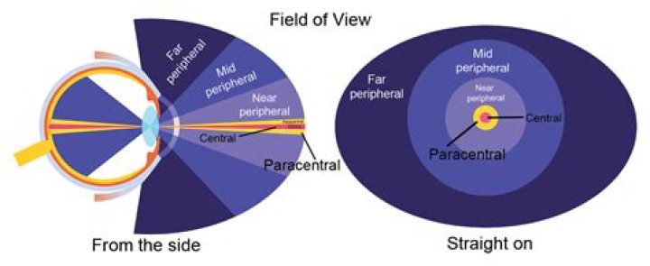 At the peripheral vision?
